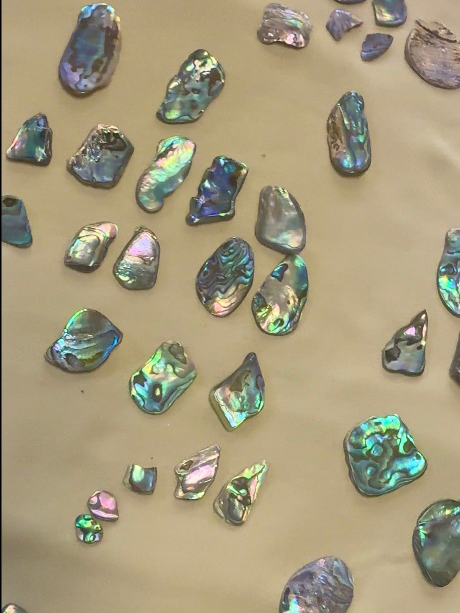 GF Paua Mano Earrings