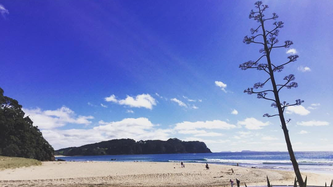 Deposit For Womens Wellness & Adventure Retreat NZ 2026